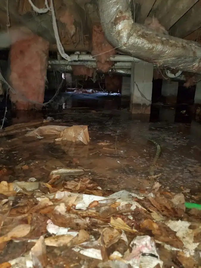 Crawl space flood assessment for Commercial Water Damage Restoration in St. Stephens