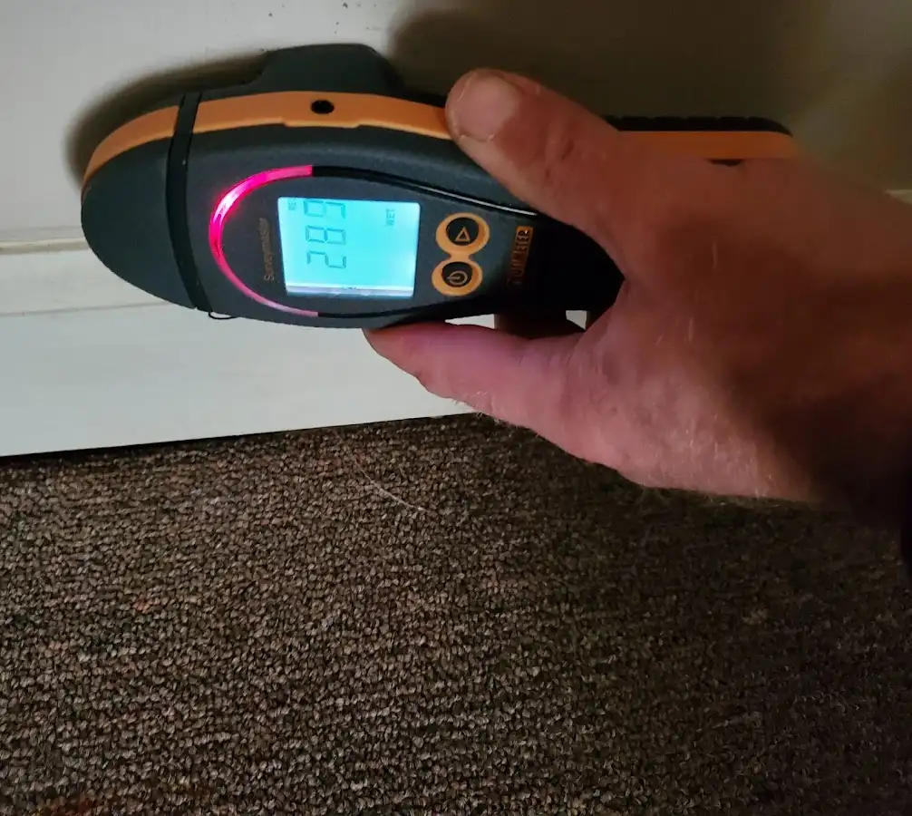 Moisture detection at baseboard during Sewage Cleanup & Sanitation in St. Stephens